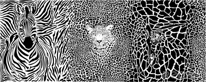 Sticker Abstrakte Illustration Zebra Giraffe und Panther
