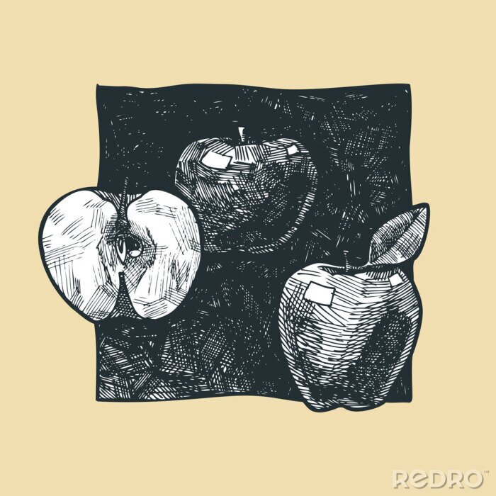 Sticker Äpfel Bleistiftskizze