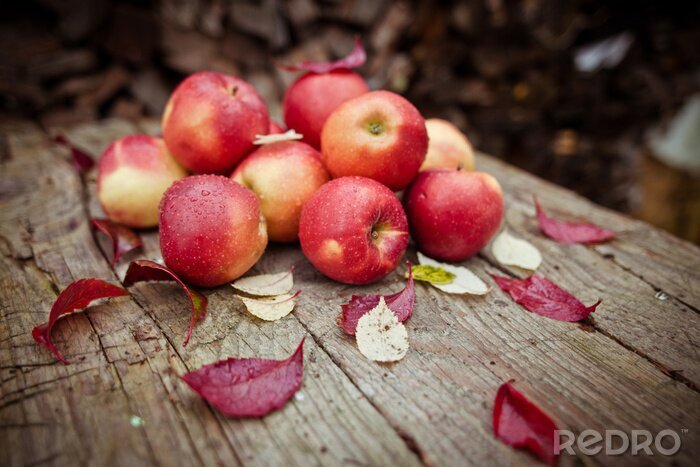 Sticker Äpfel und Herbstblätter