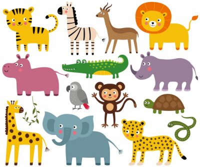 Sticker African jungle animals set (elephant, lion, croco, monkey and more)