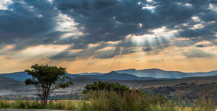 Sticker Afrikanische Landschaft mit Sonnenschein