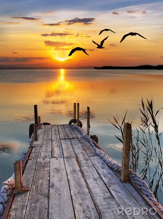 Sticker Alter Steg mit Leinen