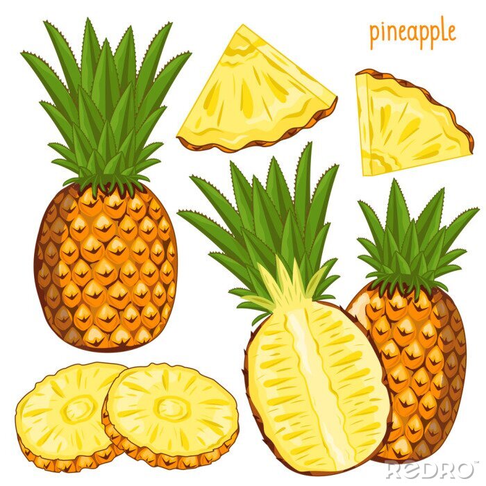 Sticker Ananas Illustrationen Früchte in verschiedenen Formen