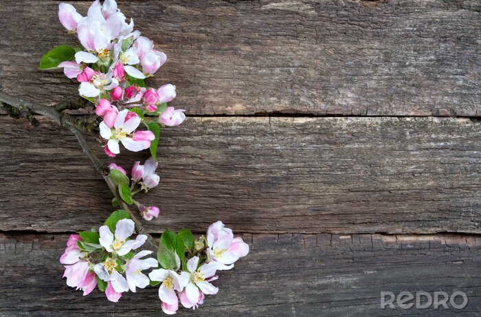 Sticker Apfelblüten auf Holzuntergrund