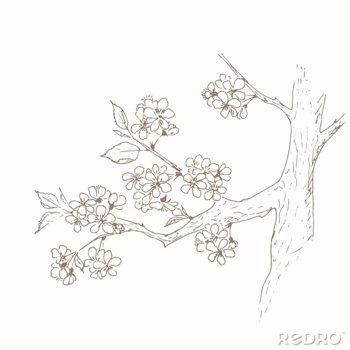 Sticker Apple-Blumen-Hintergrund