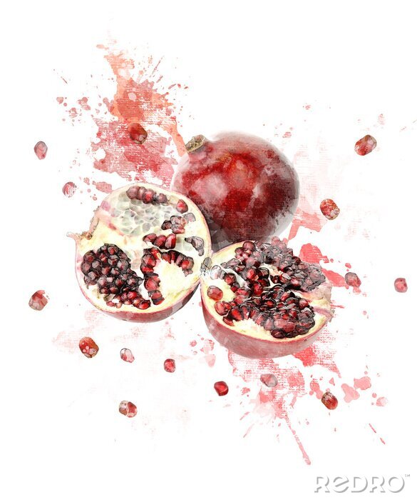 Sticker Aquarell Bild Von Granatapfel