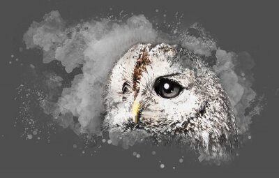 Aquarell-Eule mit großen Augen auf grauem Hintergrund