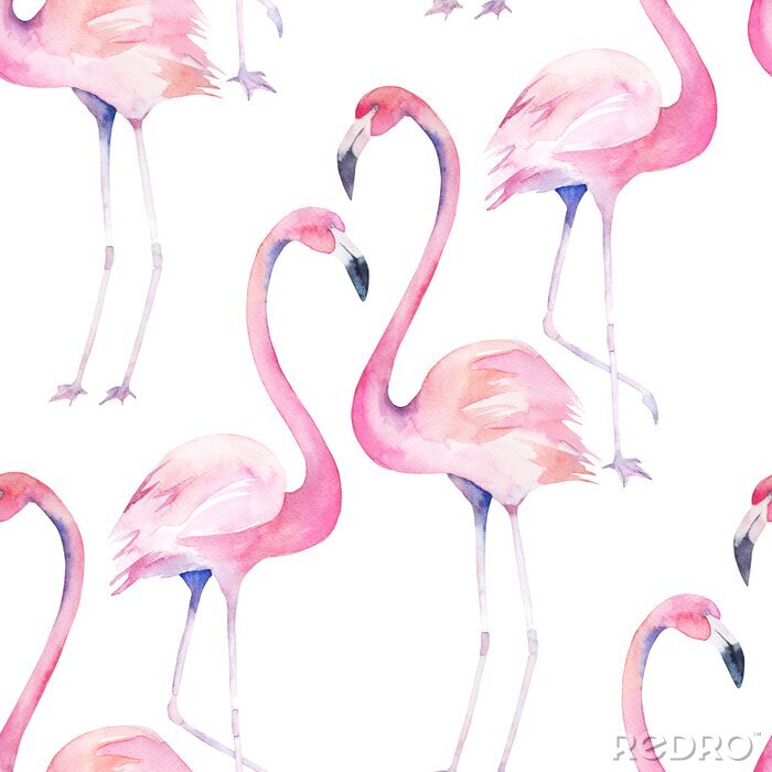 Sticker Aquarell-Flamingos auf weißem Hintergrund