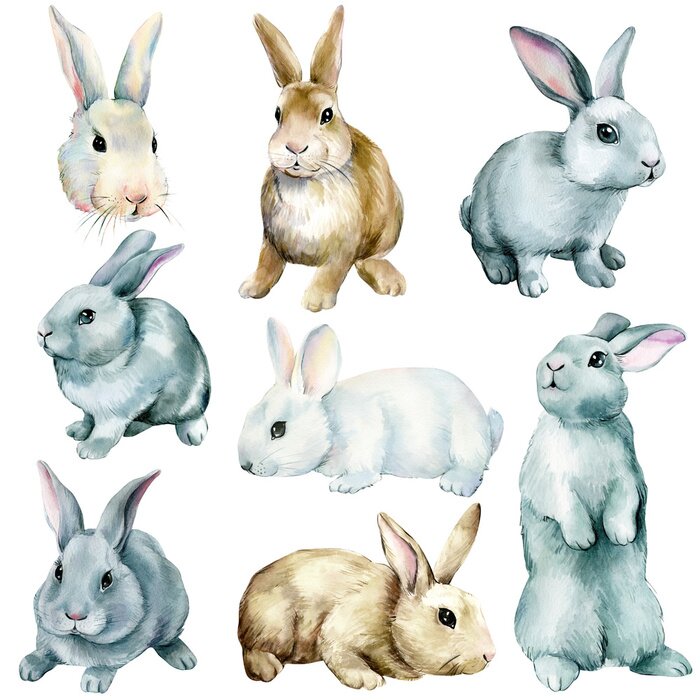 Sticker Aquarell-Hasen auf weißem Hintergrund