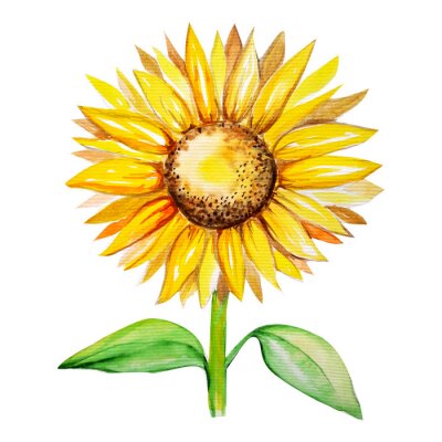 Sticker Aquarell mit einer Sonnenblume
