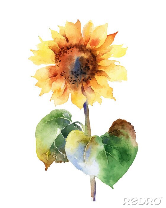 Sticker Aquarell mit Sonnenblume
