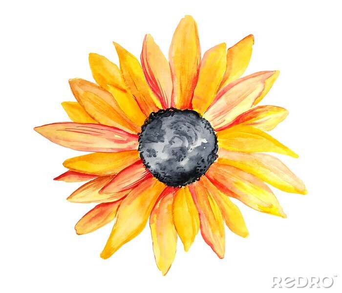 Sticker Aquarell-Mohnblume auf weißem Hintergrund