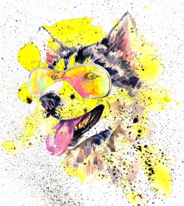 Sticker Aquarell siberian Husky-Hund in Gläser und gelbe Spritzer