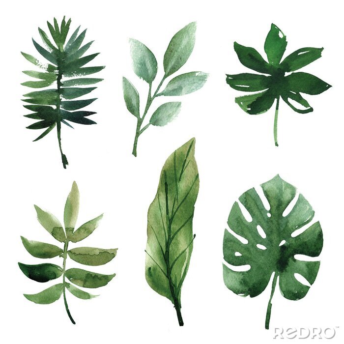 Sticker Aquarell tropische Blätter