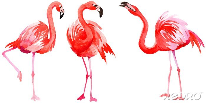 Sticker Aquarellierte Flamingos mit Farben gemalt