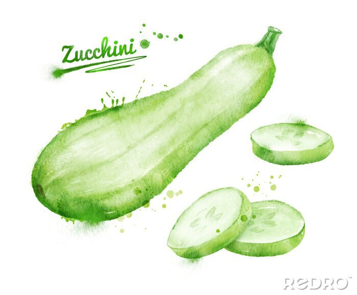 Sticker Aquarellierte Zucchini mit Unterschrift