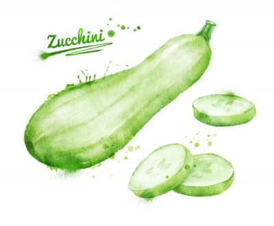 Sticker Aquarellierte Zucchini mit Unterschrift