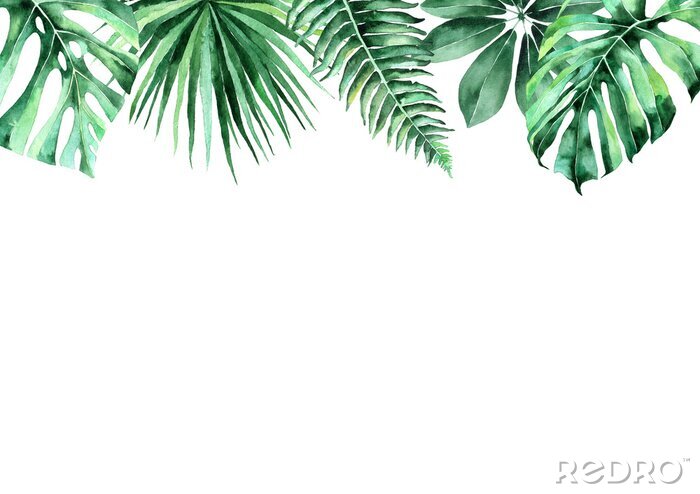 Sticker Aquarellillustration von tropischen Blättern. Rahmen aus tropischen Blättern. Einladung zur Hochzeit