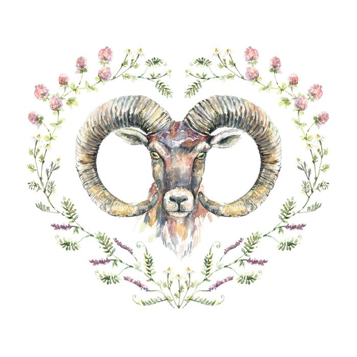 Sticker Aquarellporträt des RAMs mit einem Kranz von Wildflowers.