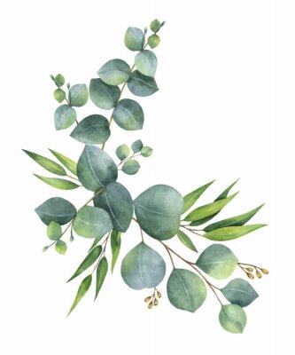 Aquarellvektorkranz mit grünen Eukalyptusblättern und -niederlassungen.