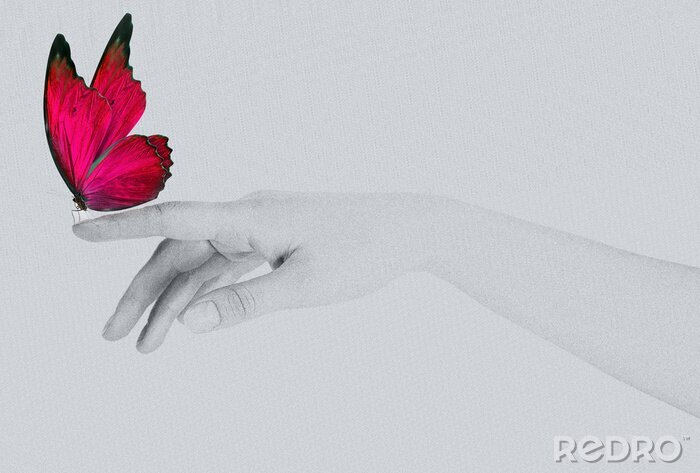 Sticker auf der Hand sitzender Schmetterling