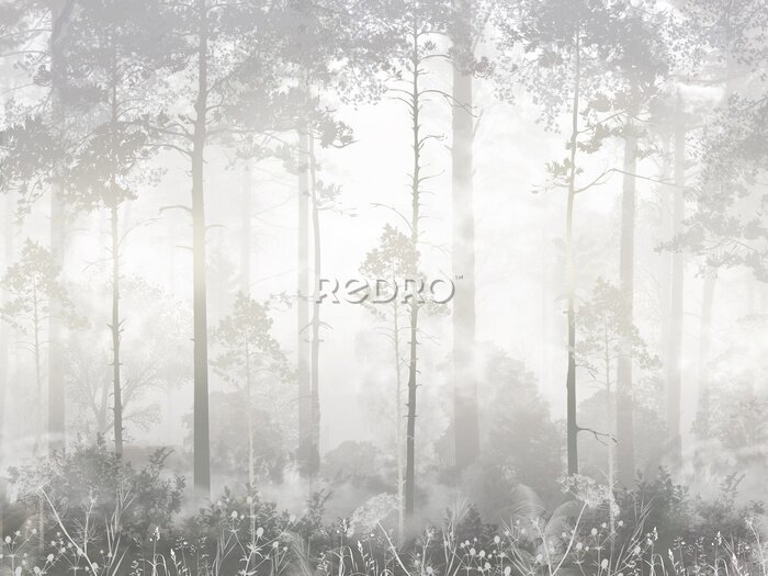 Sticker Bäume im Nebel des Morgenwaldes
