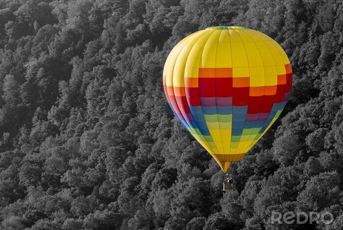 Sticker Ballon vor einem Hintergrund aus schwarz-weißen Bäumen