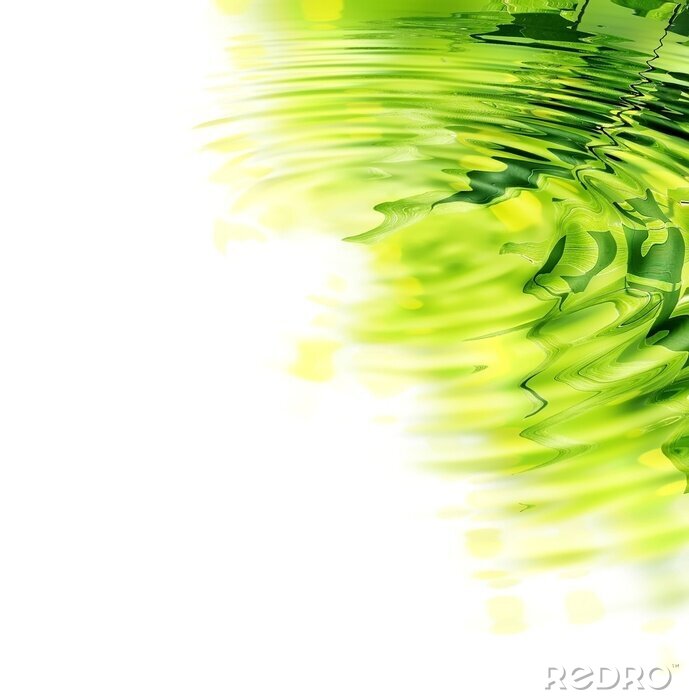 Sticker Bambus in der Spiegelung des Wassers