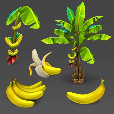 Sticker Banane und Bananenbäume digitale Grafiken 3D
