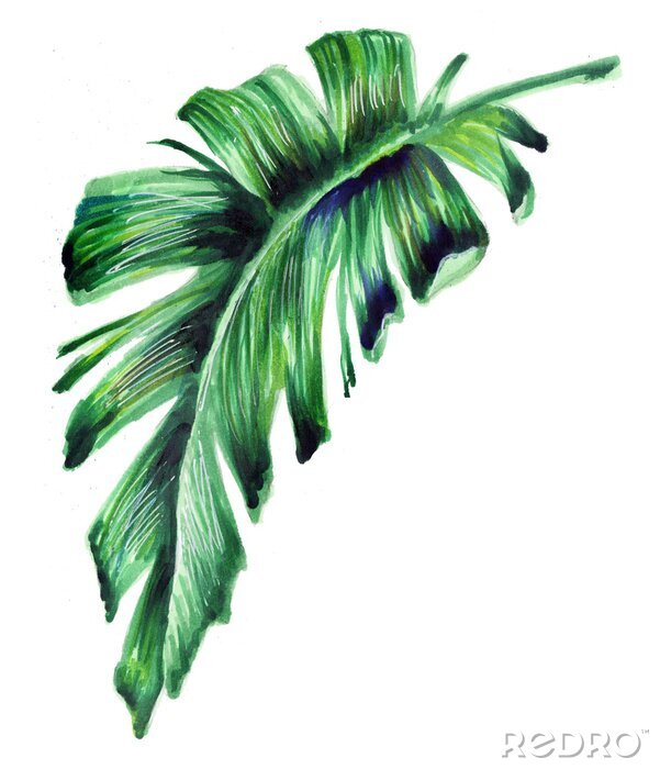 Sticker Bananenblatt auf weißem Hintergrund