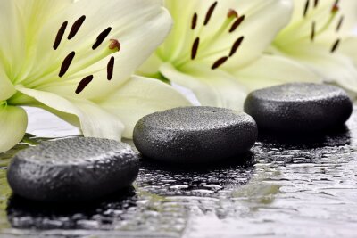 Sticker Basaltsteine mit Lilien im Hintergrund