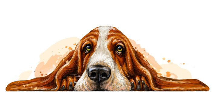Sticker Basset-Hund ruht