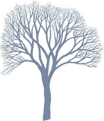 Sticker Baum - Maulbeere