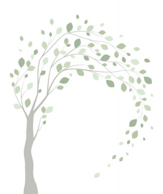 Baum mit windgepeitschten Ästen