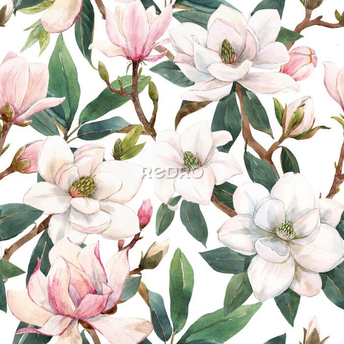 Sticker Beautiful seamless pattern with hand drawn watercolor gentle white and pink magnolia flowers. Stock illustration.