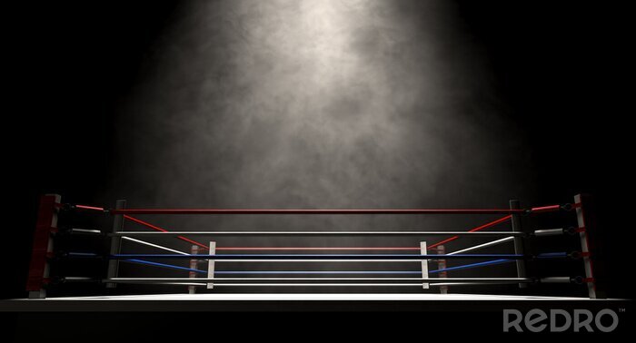 Sticker Beleuchteter Boxring