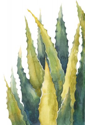 Bemalte Aloe-Vera-Blätter in Grüntönen