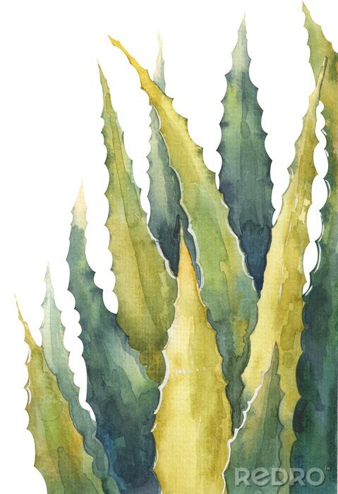 Sticker Bemalte Aloe-Vera-Blätter in Grüntönen