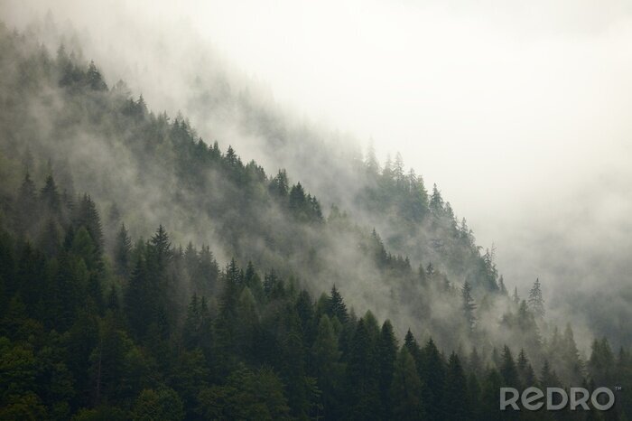 Sticker Bewaldeter berghang