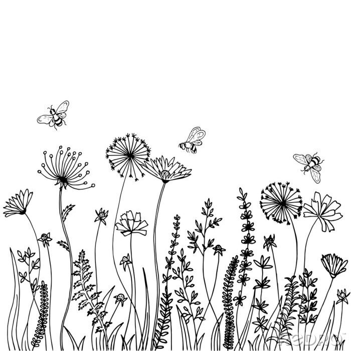 Sticker Black silhouettes of grass, spikes and herbs isolated on white background. Hand drawn sketch flowers and bees.