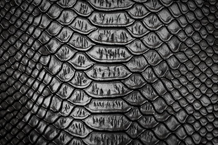 Sticker Black snake skin pattern texture