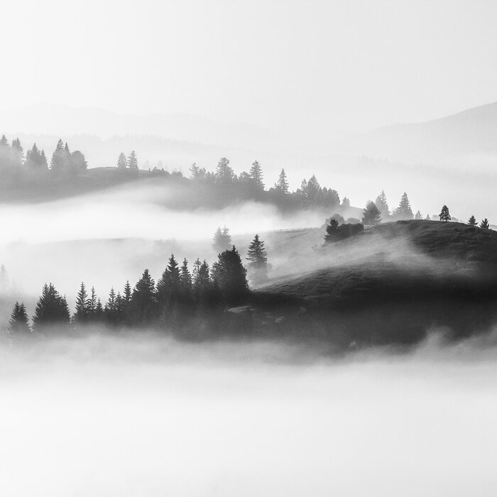 Sticker Black white foggy  landscape,  morning view on slopes of Carpathian mountains at morning sunrise sunlight and fog over valley, stunning nature  landscape, Europe, Carpathians, Ukraine