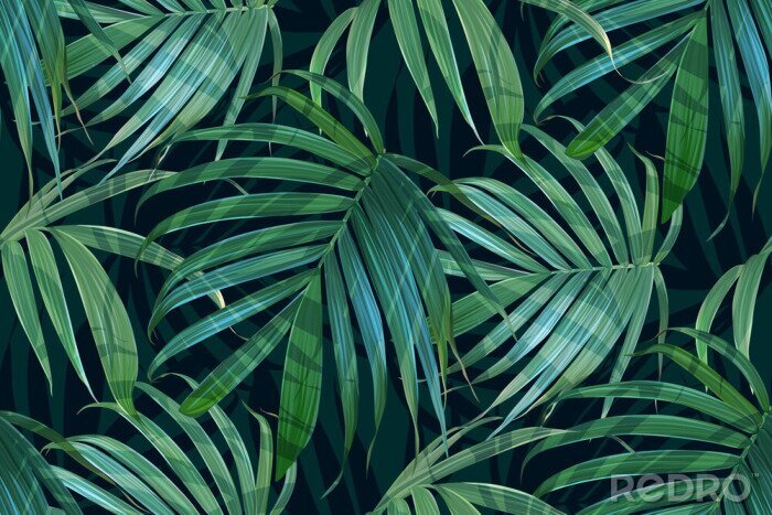 Sticker Blätter aus Tropen auf schwarzem Hintergrund