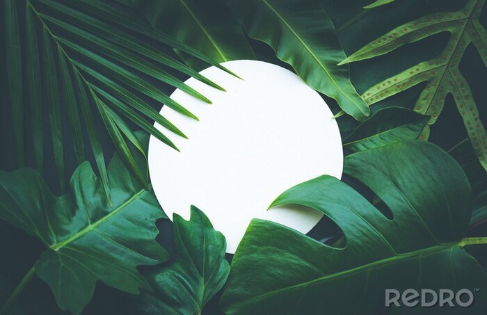 Sticker Blätter und weißer Kreis