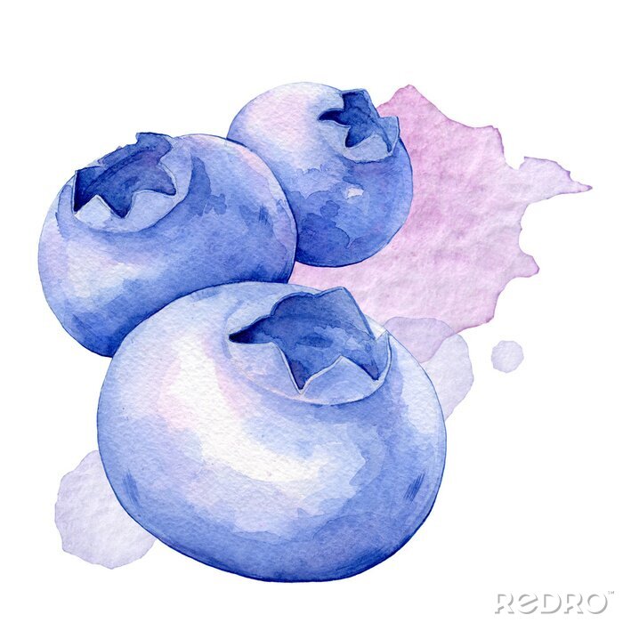 Sticker Blaubeeren mit Wasserfarben gemalt