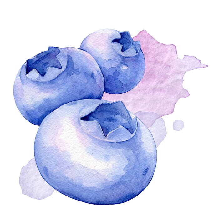 Sticker Blaubeeren mit Wasserfarben gemalt