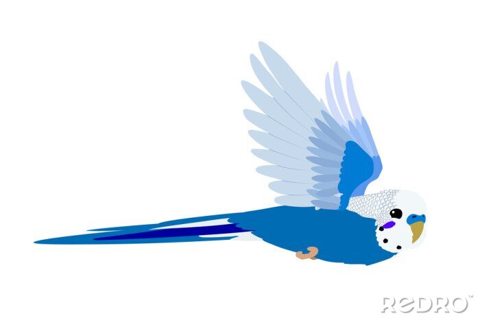 Sticker Blauer Vogel auf weißem Hintergrund