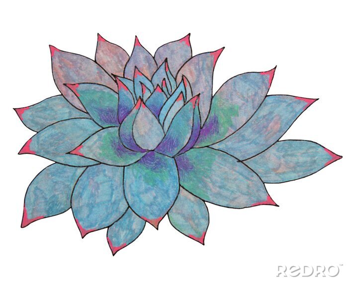 Sticker Blue leaves succulent echeveria home plant isolated on white background. Art creative nature hand-drawn object for card, sticker, wallpaper, textile, wrapping, poster, florist, notebook