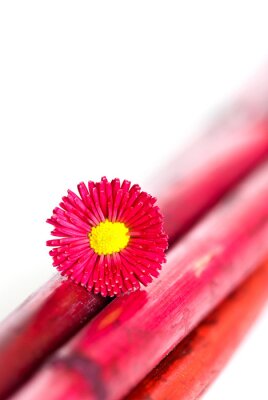 Sticker Blüte auf rotem Stiel