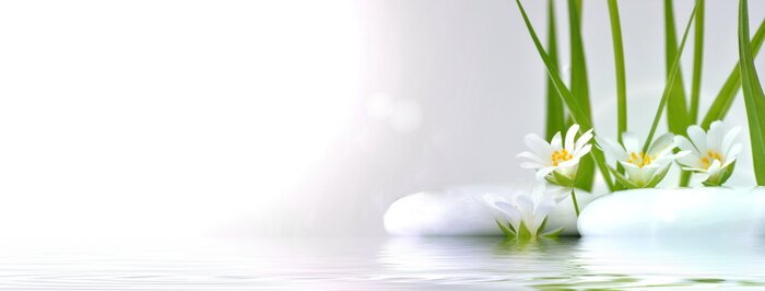 Sticker Blüten am Ufer